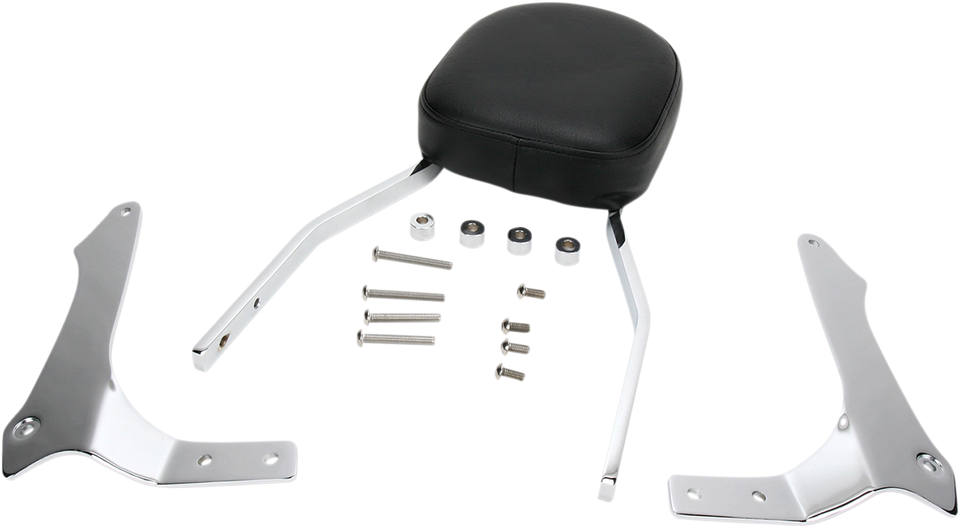 Sissy Bar - Standard - Raider