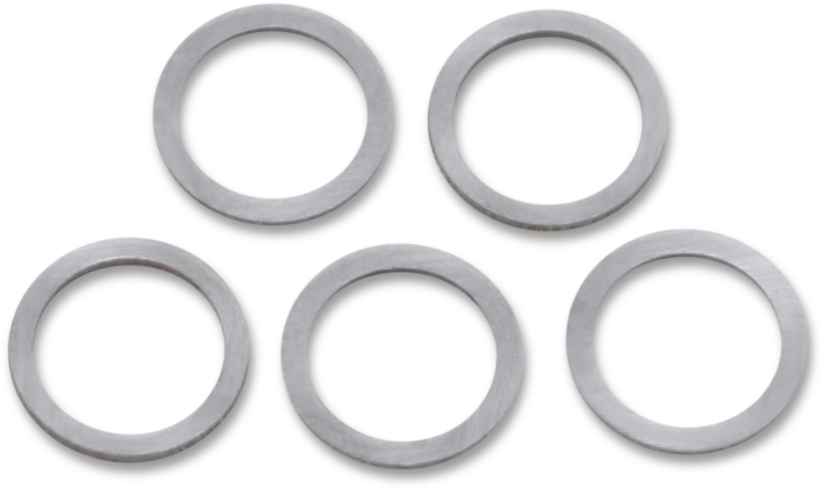 Cam Gear Shims - Big Twin