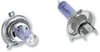 Bulb - P43T Purple - 90/100 W - Pair