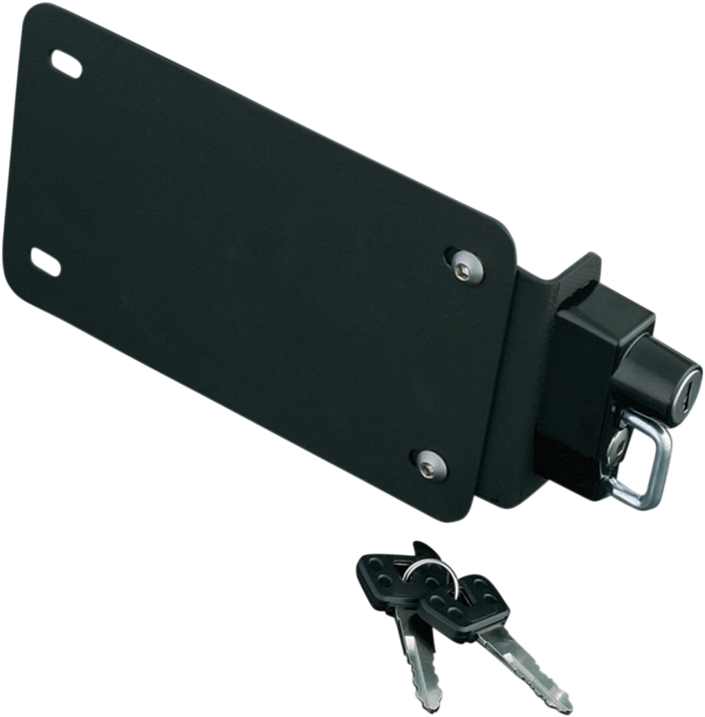 License Plate Mount - with Lock