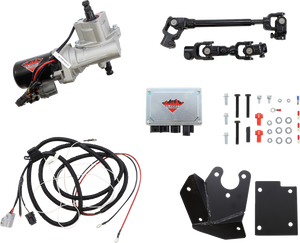 Electric Power Steering Kit - RZR 170