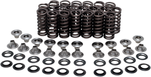 Valve Spring Kit