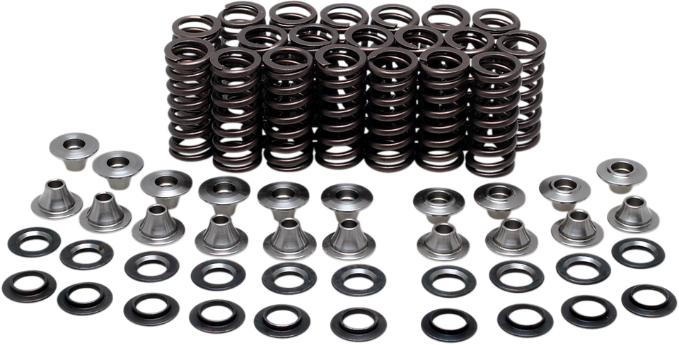 Valve Spring Kit