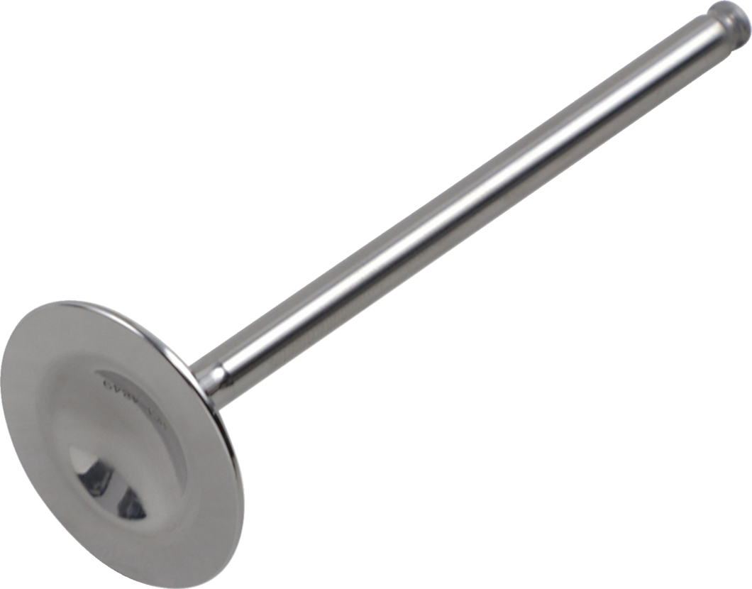 Intake Valve