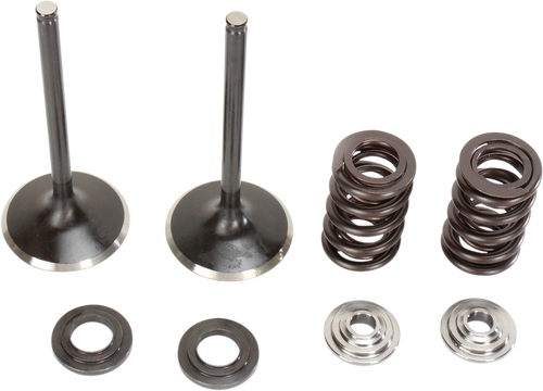 Intake Valve Kit