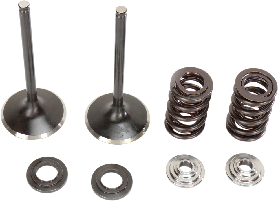 Intake Valve Kit