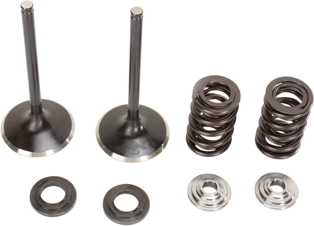 Intake Valve Kit