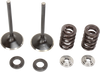 Intake Valve Kit