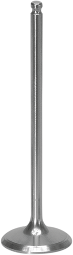 Intake Valve