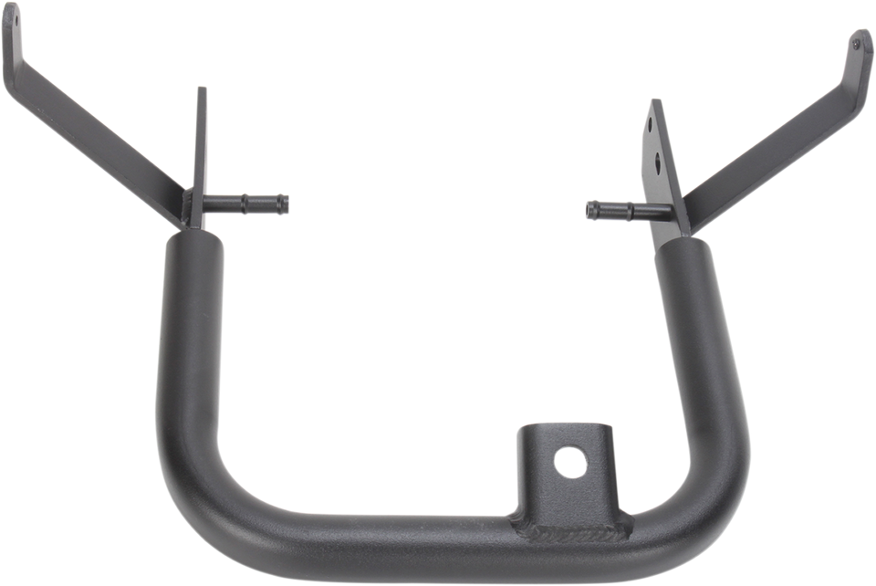 Fat Grab Bar - Black - Raptor 700 - Lutzka's Garage