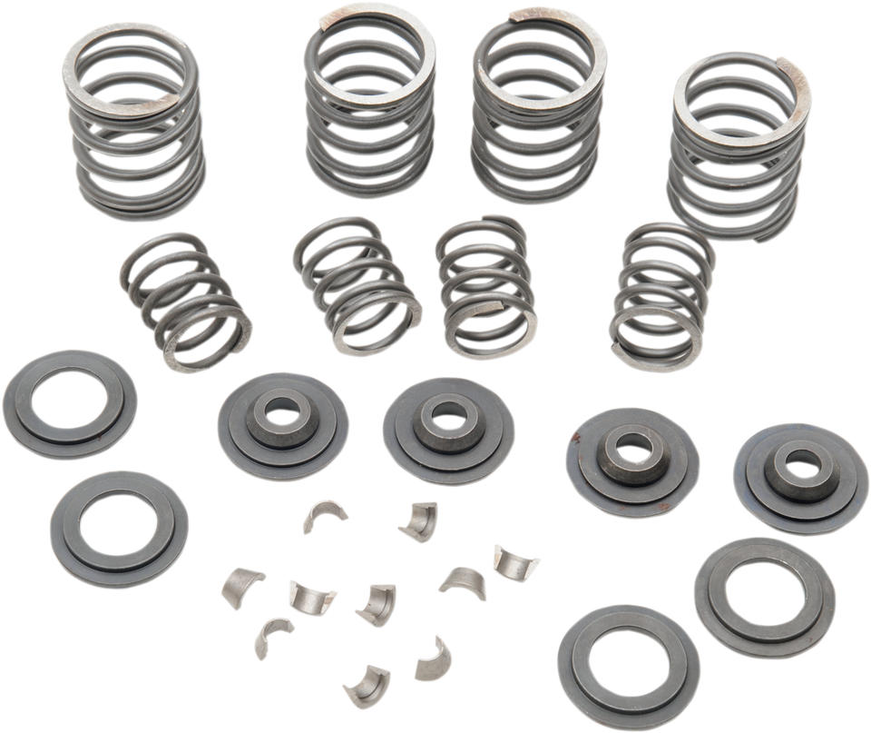 Valve Spring Kit - Big Twin