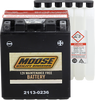 AGM Battery - YTX14AHL-BS