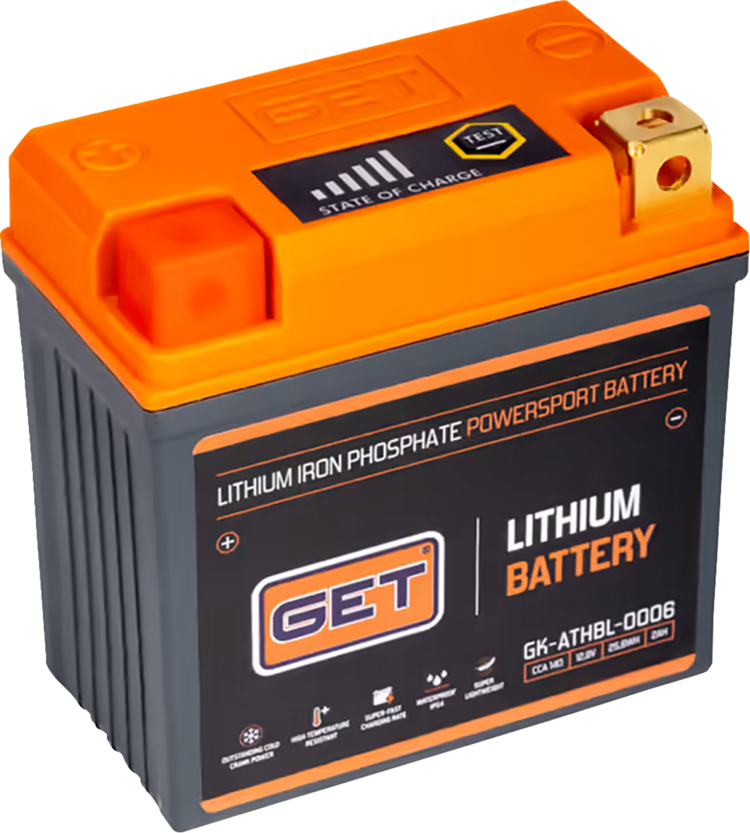 Lithium Iron Battery