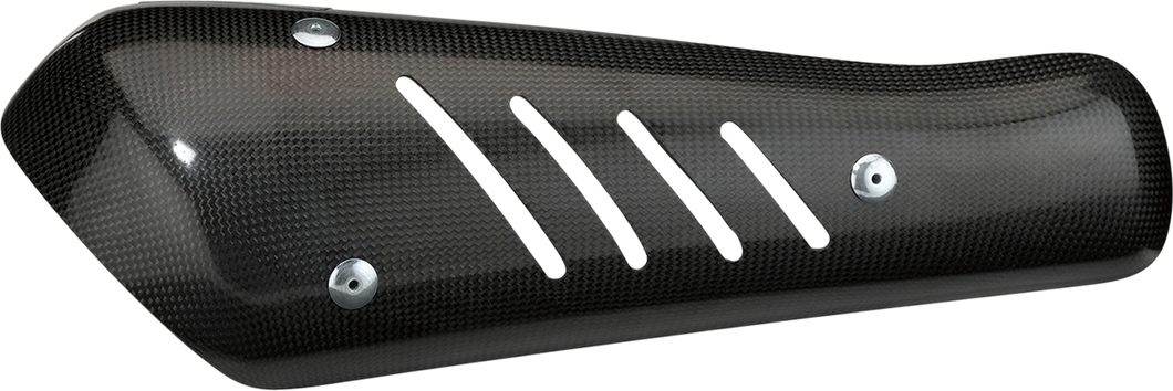 Carbon Muffler - Bag Guard