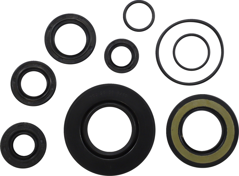 Oil Seal Kit