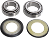 Steering Stem Bearing Kit