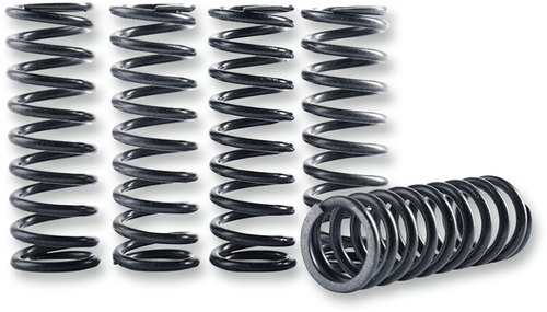 Clutch Spring Kit