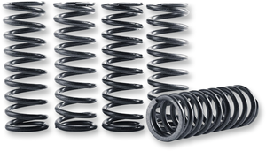 Clutch Spring Kit