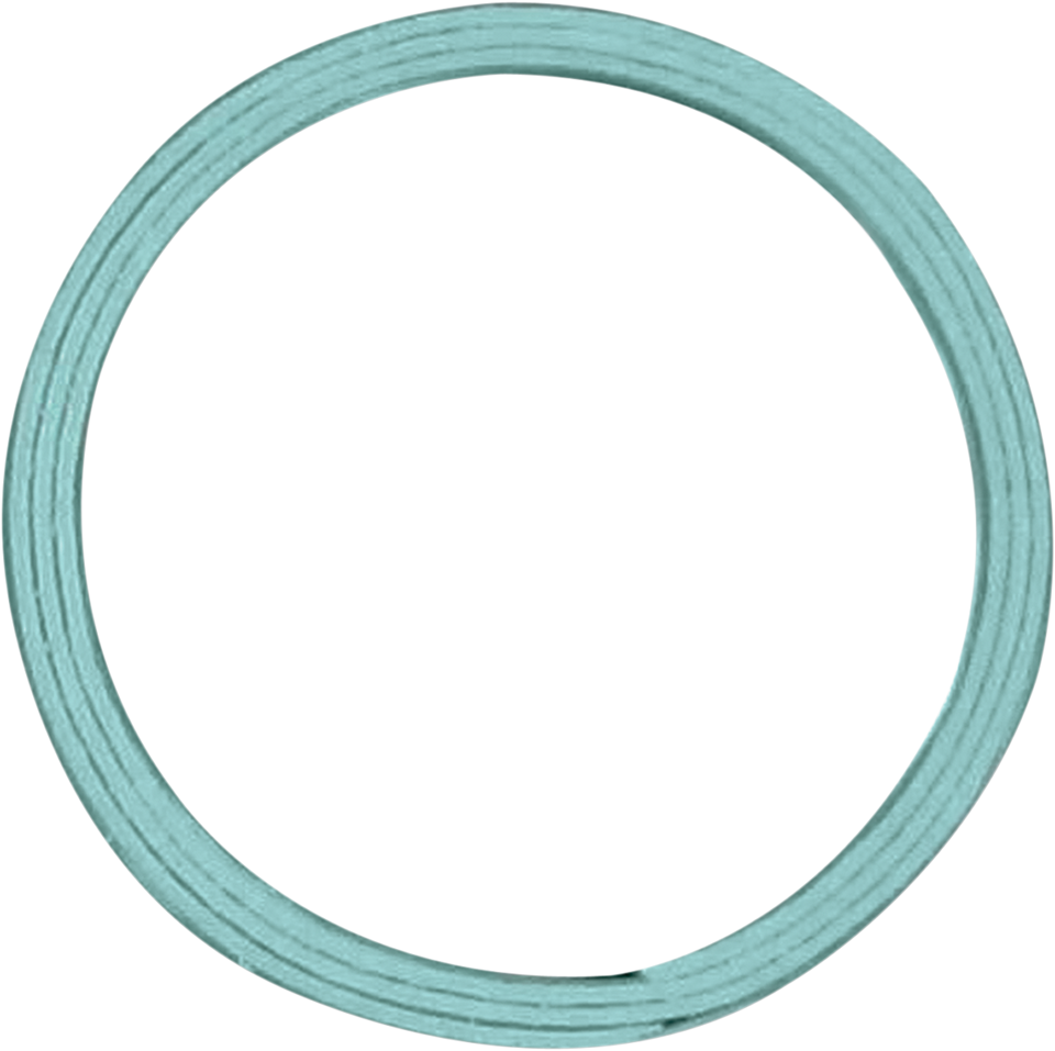 Exhaust Gasket