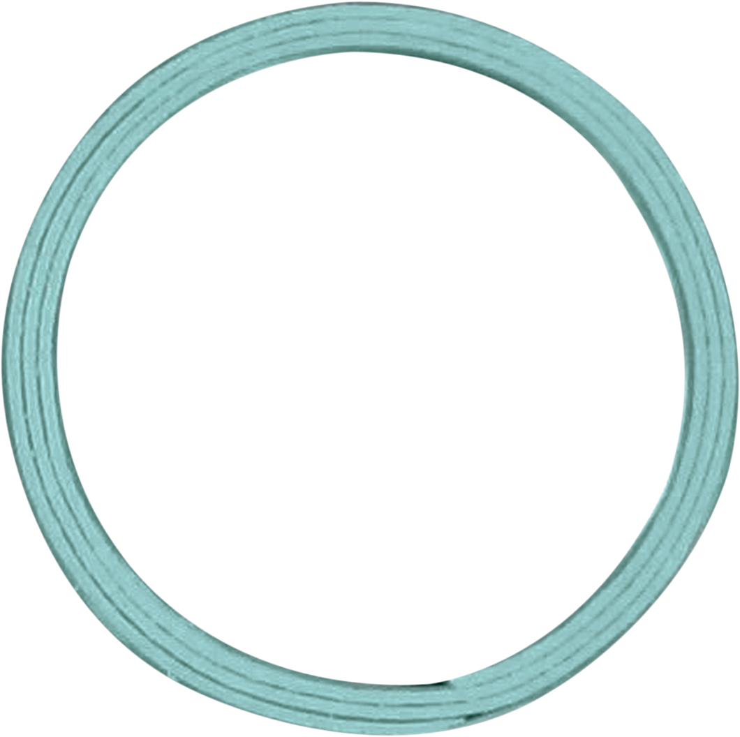 Exhaust Gasket