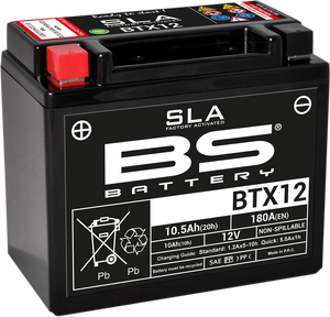 Battery - BTX12 (YTX)