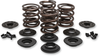 Valve Spring Kit - Big Twin