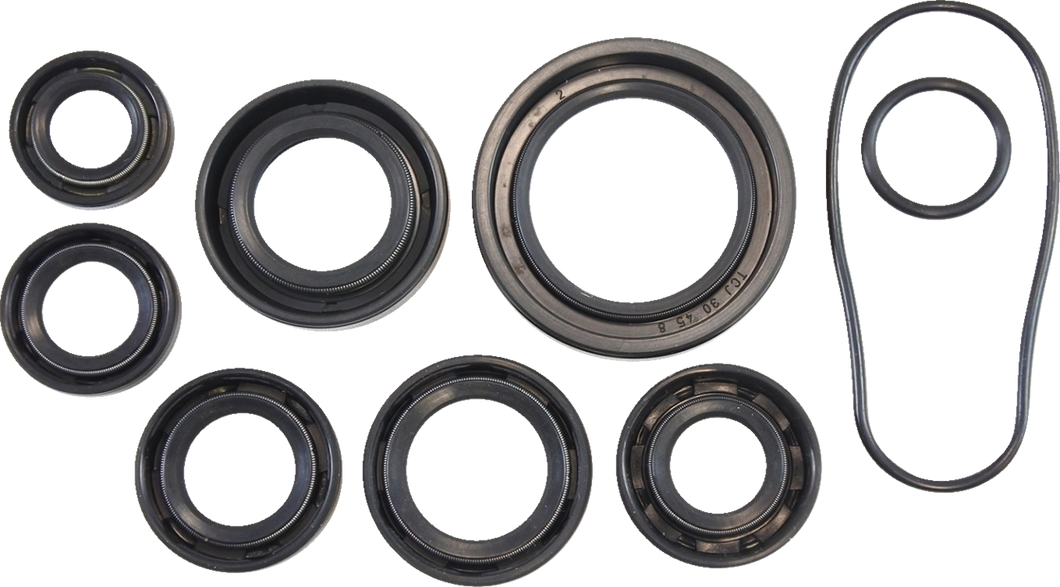 Oil Seal Kit