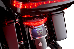 Taillight/License Plate Mount - Smoke Lens - Chrome - Lutzka's Garage