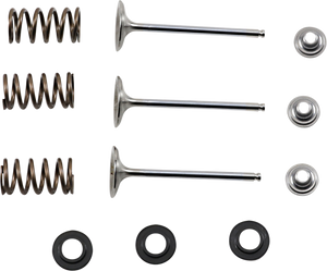 Intake Valve Kit