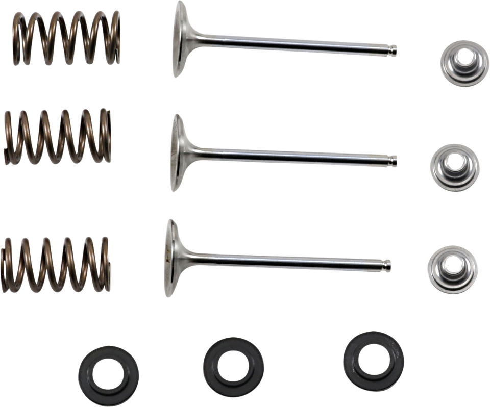 Intake Valve Kit