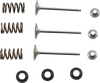 Intake Valve Kit