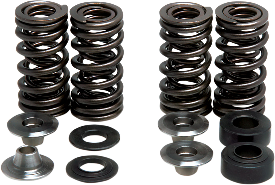 Valve Spring Kit