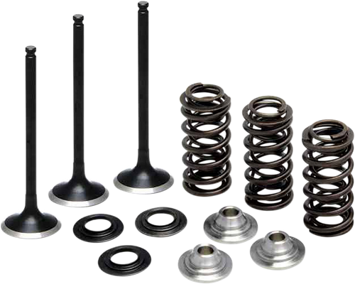 Valve Spring Kit