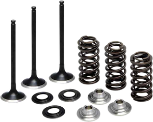 Valve Spring Kit