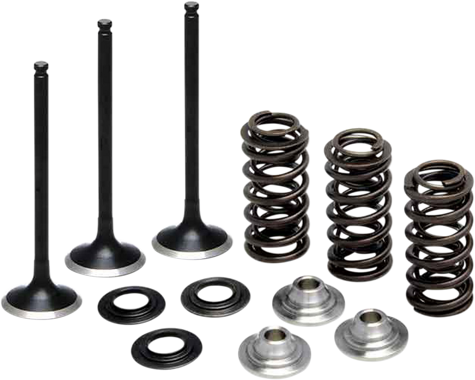 Valve Spring Kit