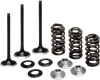 Valve Spring Kit