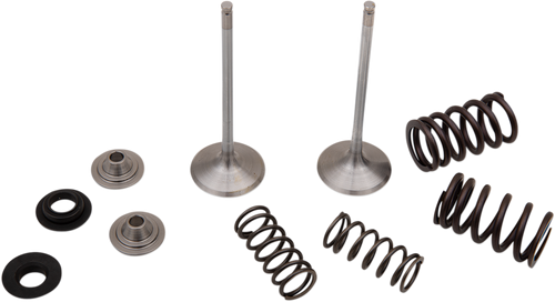 Intake Valve Kit