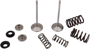 Intake Valve Kit