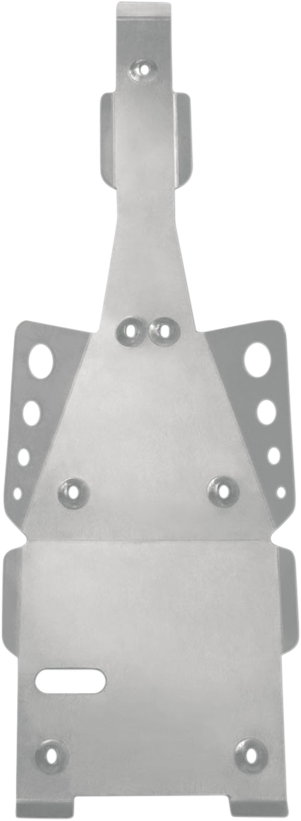 Swingarm Skid Plate - Raptor