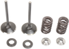 Intake Valve Kit