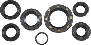 Oil Seal Kit