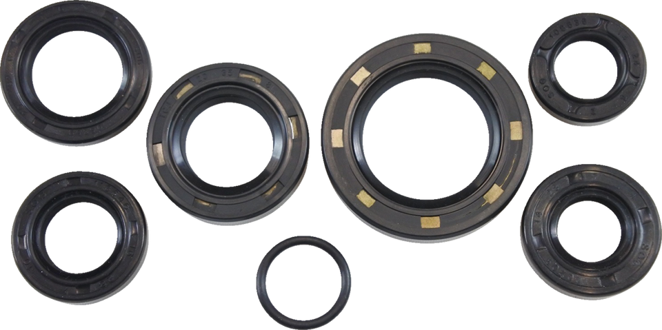 Oil Seal Kit