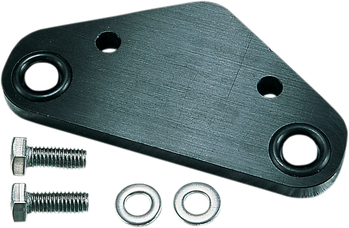 Crankcase Block-off Plate - Kawasaki