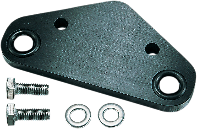 Crankcase Block-off Plate - Kawasaki