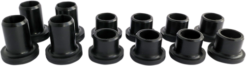 Rear Independent Suspension Repair Kit - Bushings