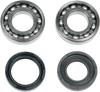 Crankcase Bearing and Seal Kit