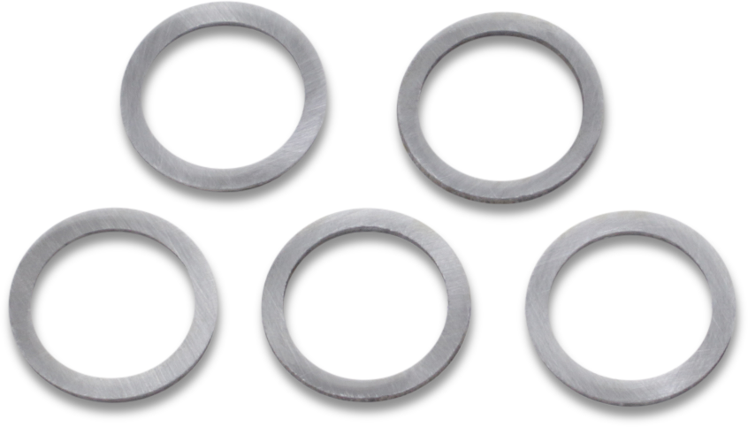 Cam Gear Shims - Big Twin