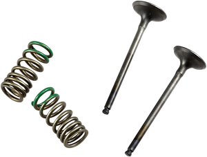 Valve and Spring Kit - Exhaust - Gas Gas | Yamaha