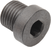 O2 Sensor Plug - 12 mm x 1.25 mm - Steel - Lutzka's Garage