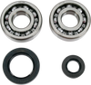 Crankcase Bearing and Seal Kit